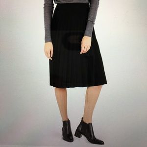 Everlane Pleated Skirt